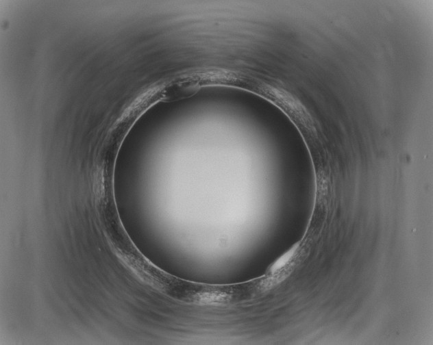 X0000086340158200703301304