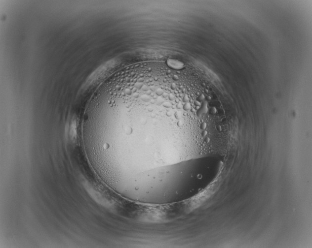 X0000086340166200703301305