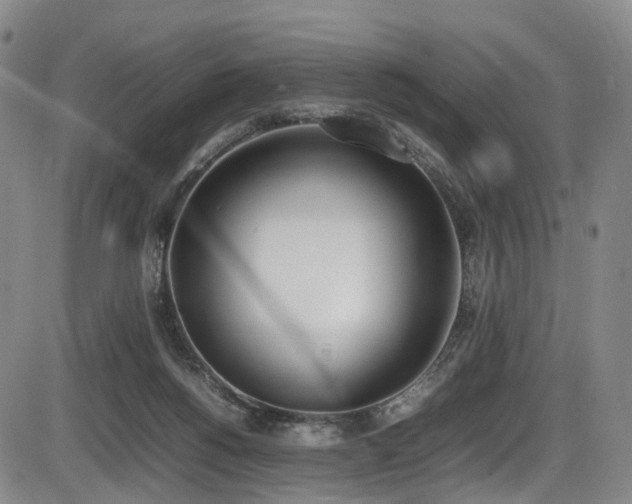 X0000086340168200703301305