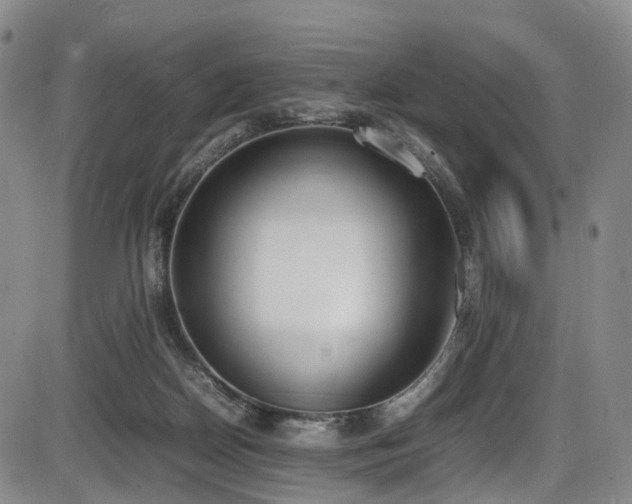 X0000086340170200703301305