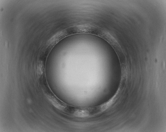 X0000086340174200703301305