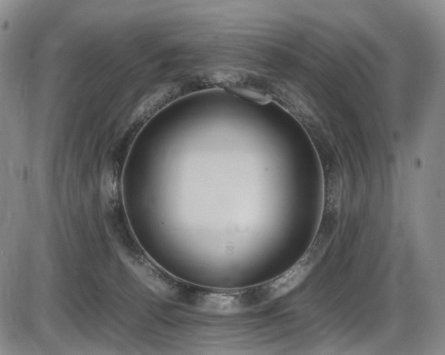 X0000086340176200703301305