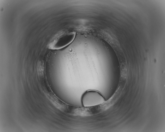X0000086340179200703301305