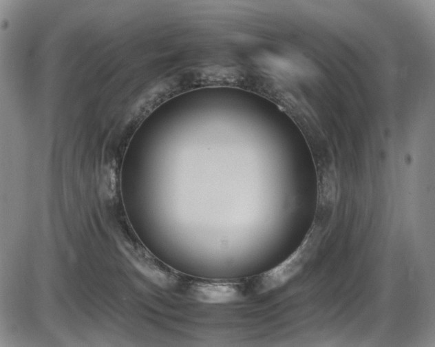 X0000086340183200703301305