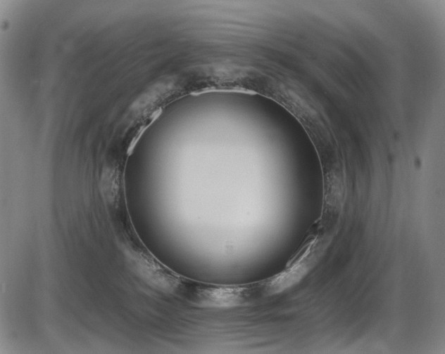 X0000086340184200703301305