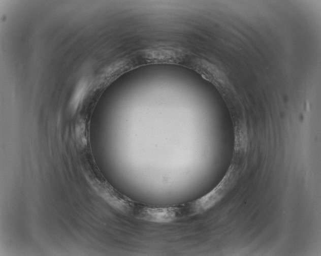 X0000086340187200703301305