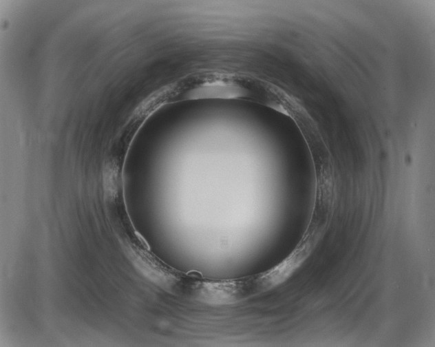 X0000086340188200703301305