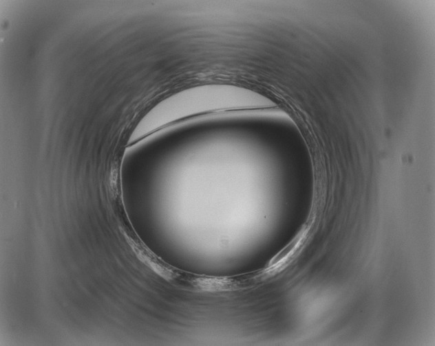 X0000086340192200703301305