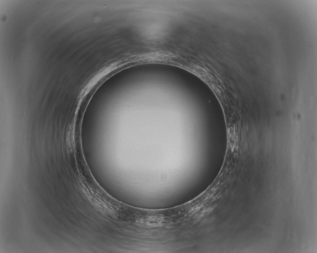 X0000086340196200703301304