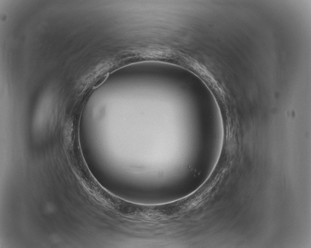 X0000086340201200703301304