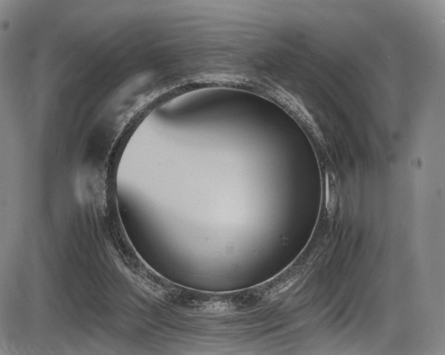 X0000086340204200703301304