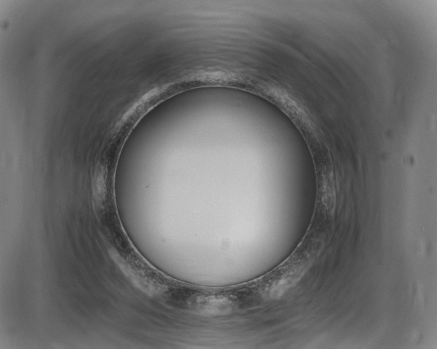 X0000086340208200703301304