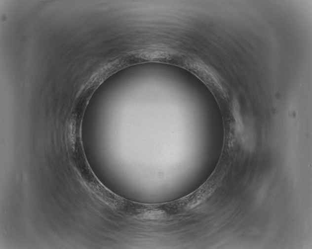 X0000086340210200703301304