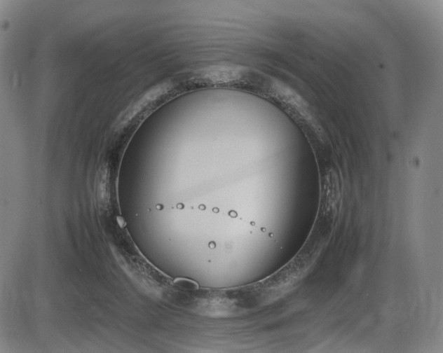 X0000086340212200703301304