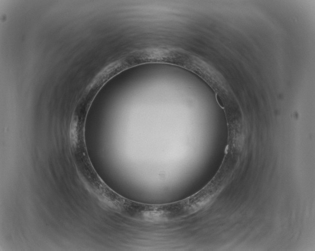 X0000086340216200703301304