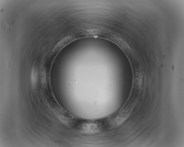 X0000086340220200703301304