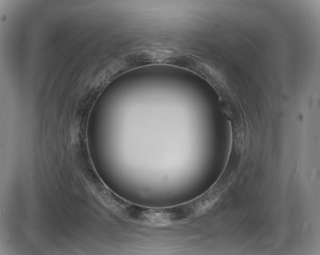 X0000086340221200703301304