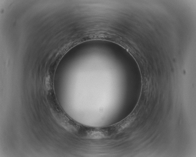 X0000086340224200703301304