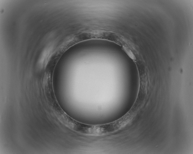X0000086340225200703301304
