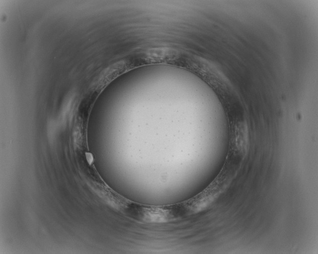 X0000086340226200703301304