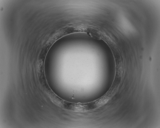 X0000086340229200703301304