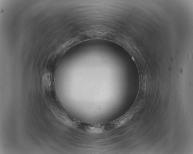 X0000086340232200703301304