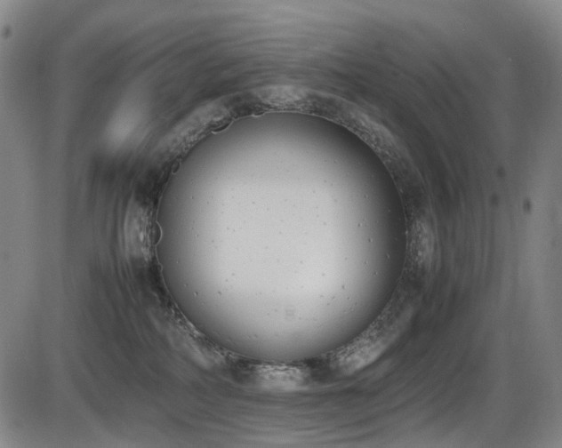 X0000086340234200703301303
