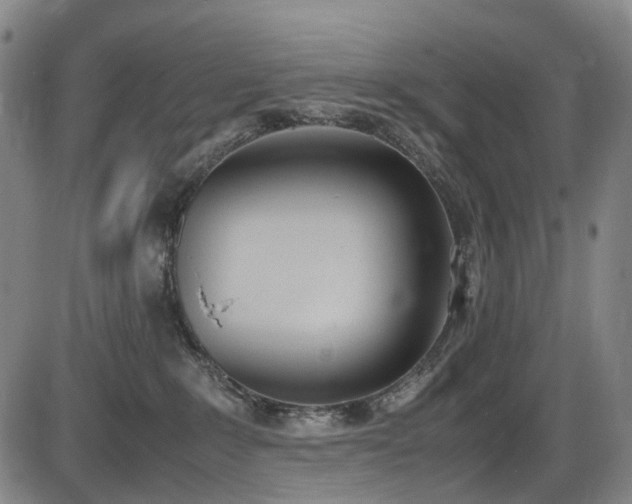 X0000086340235200703301303