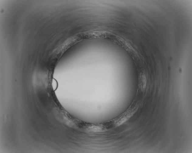X0000086340236200703301303