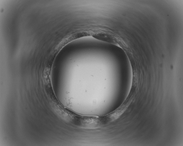 X0000086340237200703301303