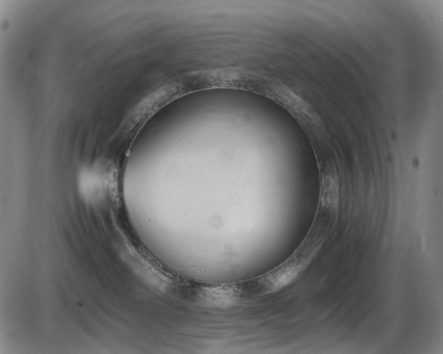 X0000086340238200703301303