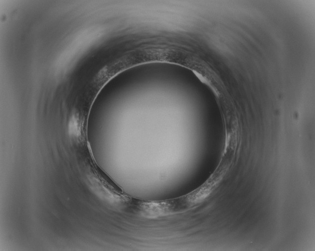 X0000086340239200703301303
