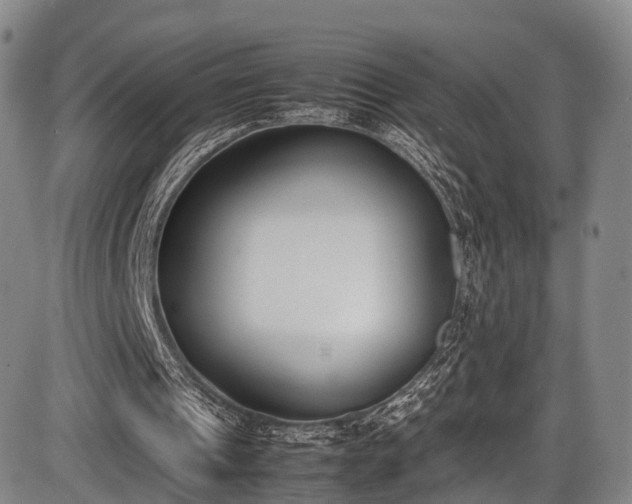 X0000086340241200703301303