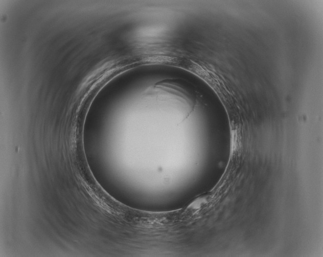 X0000086340243200703301303