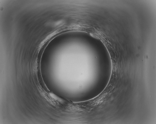 X0000086340244200703301303