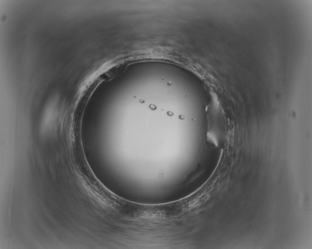 X0000086340248200703301303