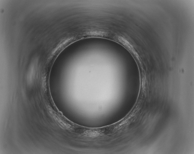 X0000086340249200703301303