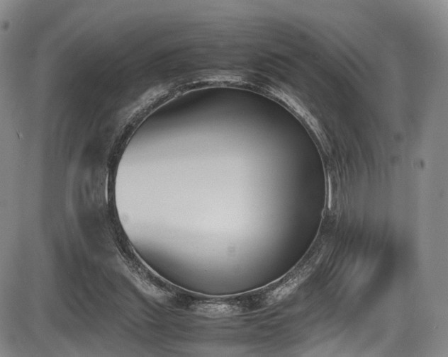 X0000086340253200703301303