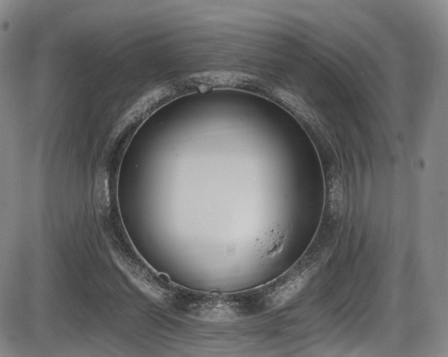 X0000086340254200703301303