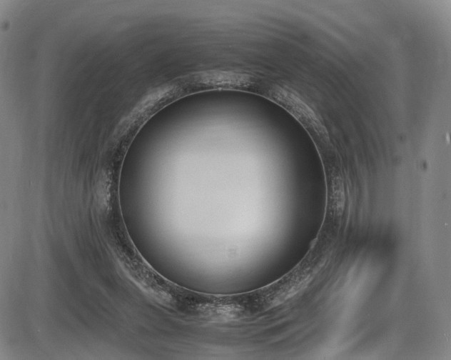 X0000086340255200703301303