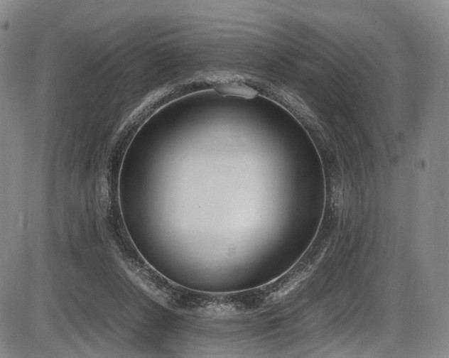 X0000086340256200703301303
