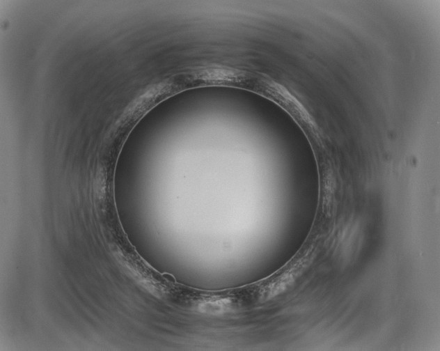 X0000086340257200703301303