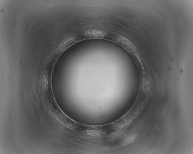 X0000086340259200703301303