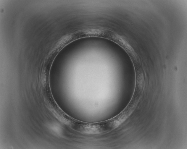 X0000086340261200703301303