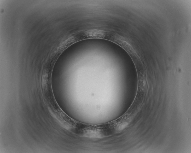 X0000086340263200703301303