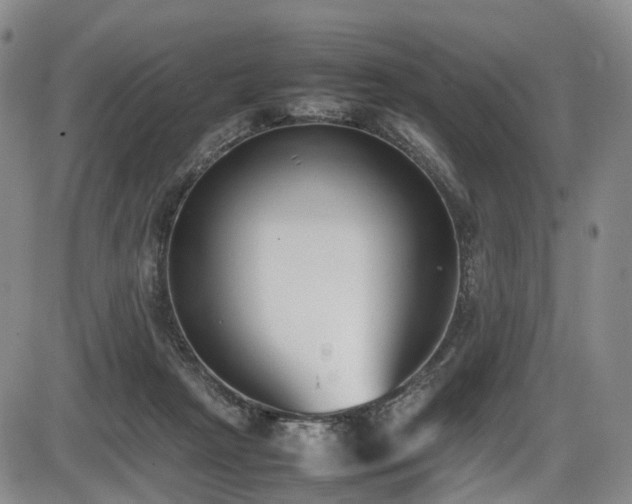 X0000086340265200703301303