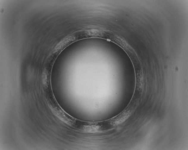 X0000086340266200703301303