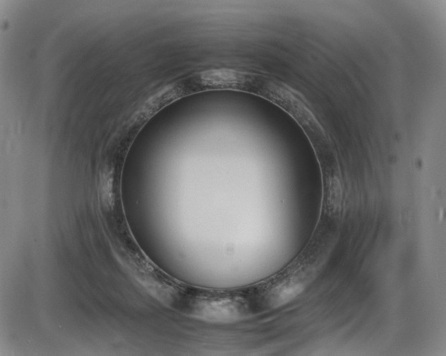 X0000086340267200703301303