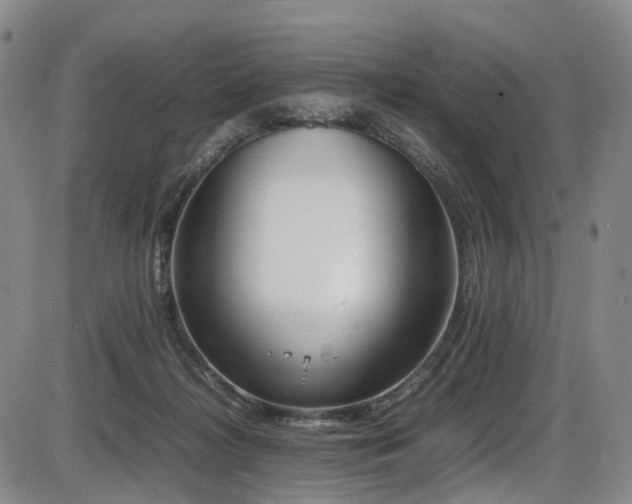 X0000086340268200703301303
