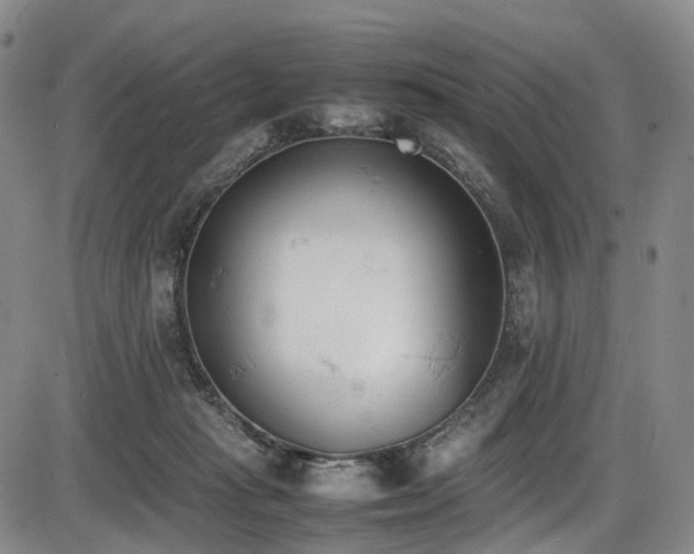 X0000086340269200703301303